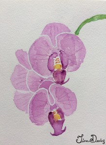 Watercolour Sketchbook by Tina Devins